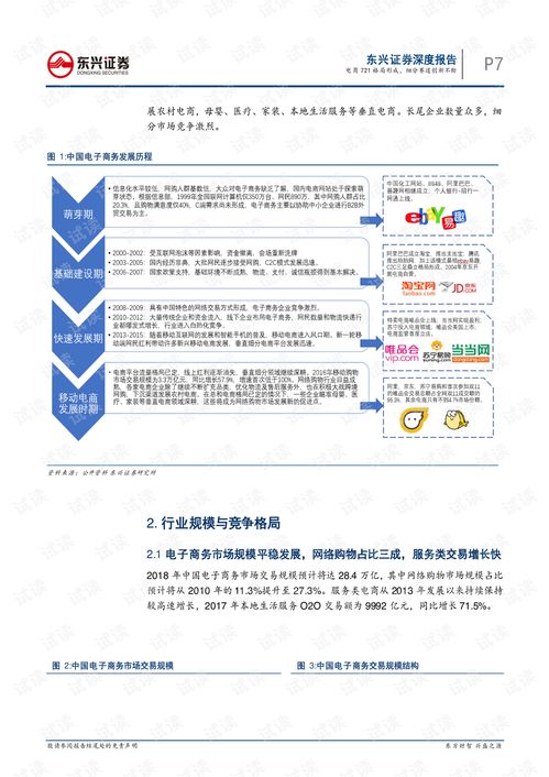 電子商務(wù)行業(yè)新篇章 技術(shù)驅(qū)動下“721”格局的深化與未來